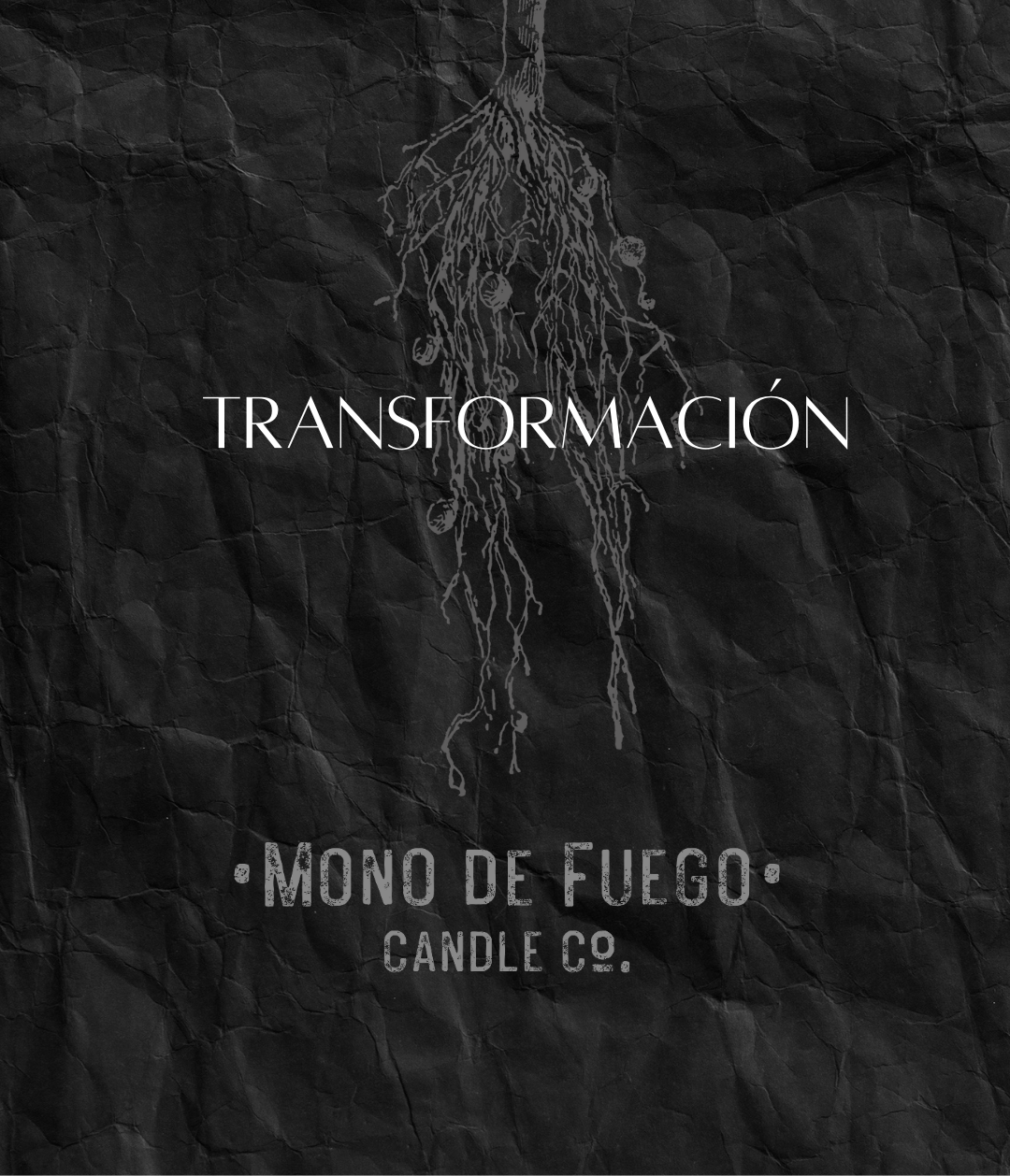 PACK DE TRANSFORMACIÓN