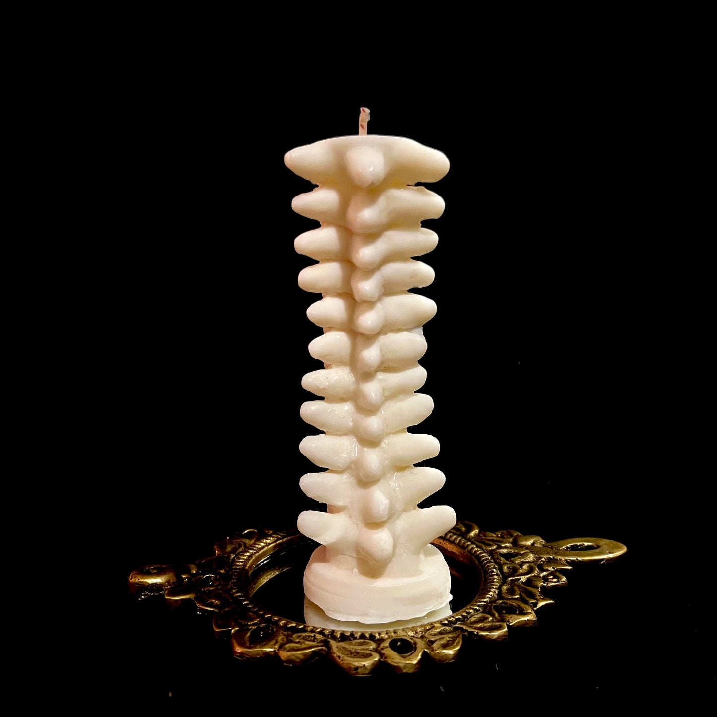 VELA - ANATOMÍA: COLUMNA - CERA DE SOYA